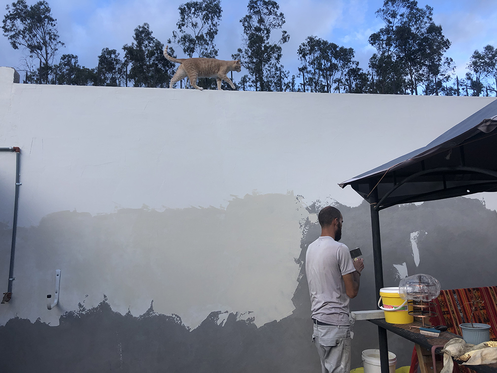 Volunteer working on hoppy alpaca's walls.