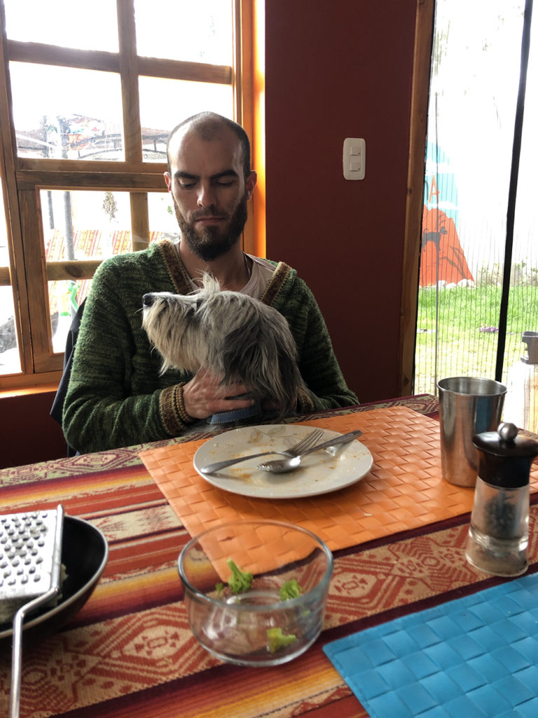 Volunteer getting hugged by Gandalf the hostel dog.