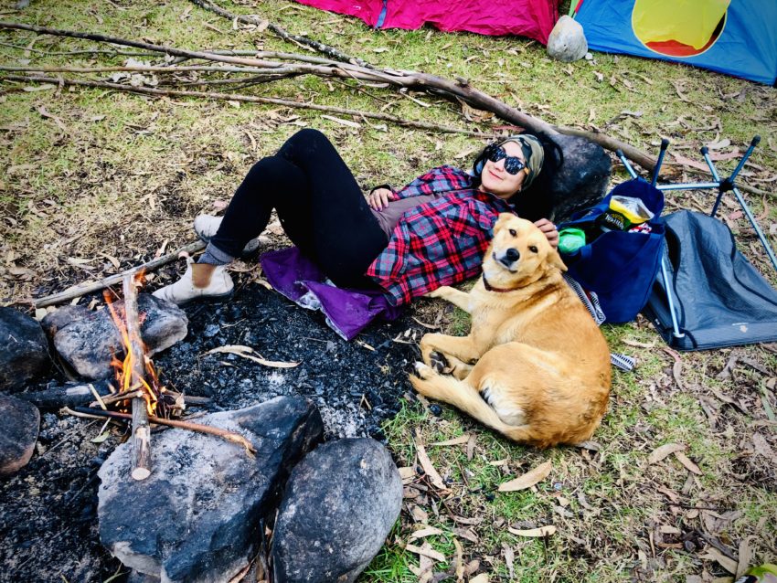 Camping with a dog